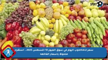 سعر كantalوب اليوم في سوق العبور 18 أغسطس 2025.. استقرار ملحوظ بأسعار الفاكهة